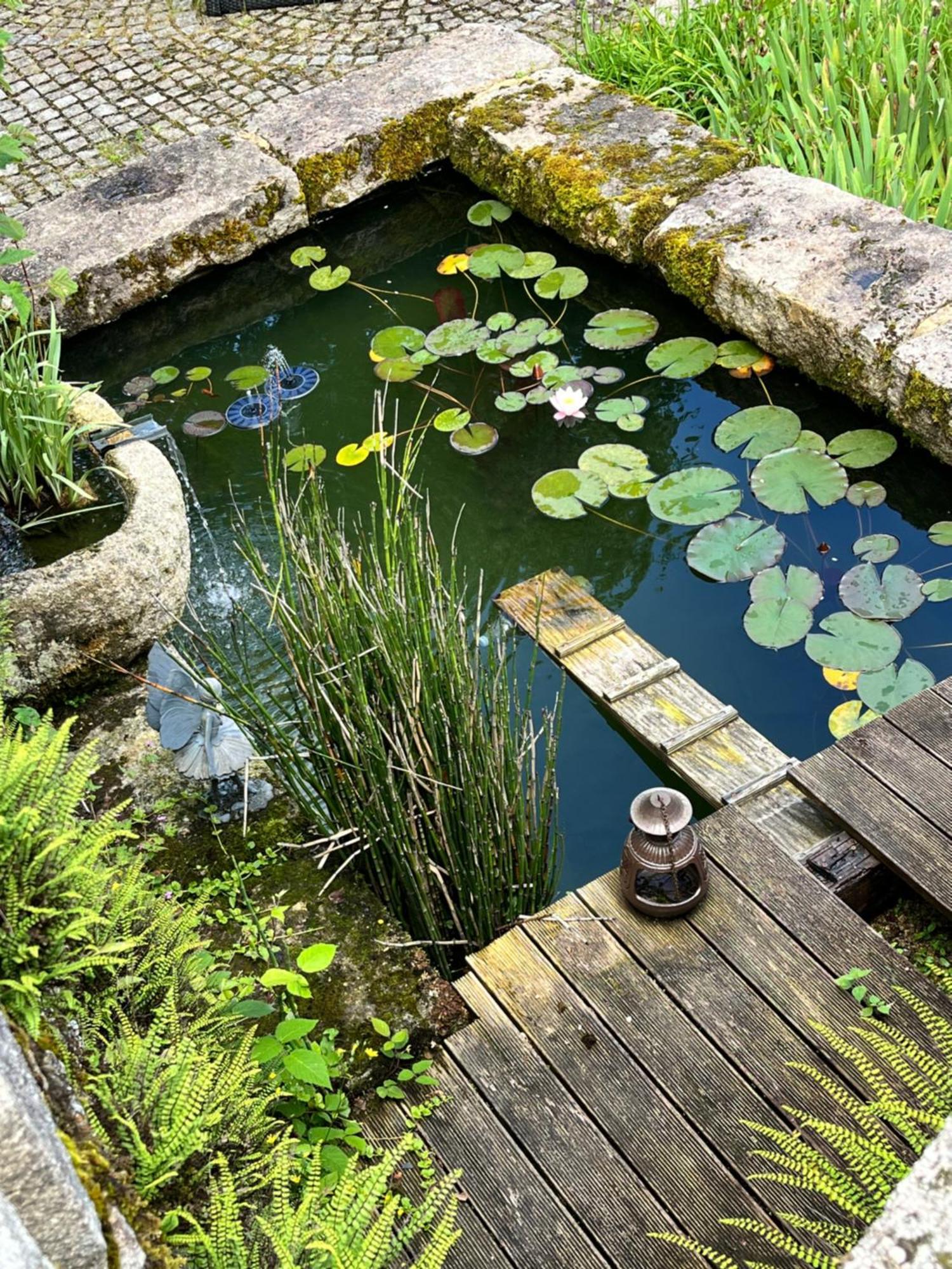 Chez Jallot Vidaillat Luaran gambar